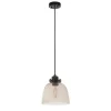 Hoyo Smoked Glass and Black 1 Light Pendant