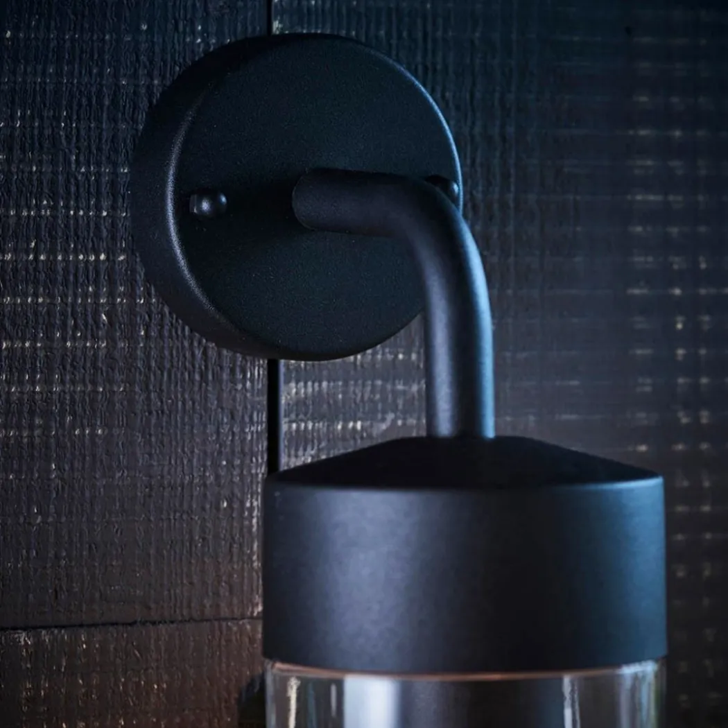 North Matte Black & Glass Outdoor Wall Light
