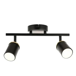 Talbot 2-Light Matte Black Spotlight Bar