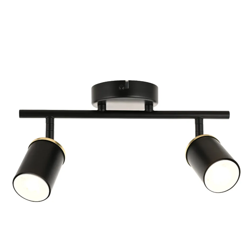 Talbot 2-Light Matte Black Spotlight Bar