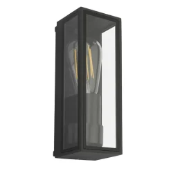 Taryn Anthracite IP65 Outdoor Wall Light
